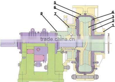 Washdown Slurry Pump