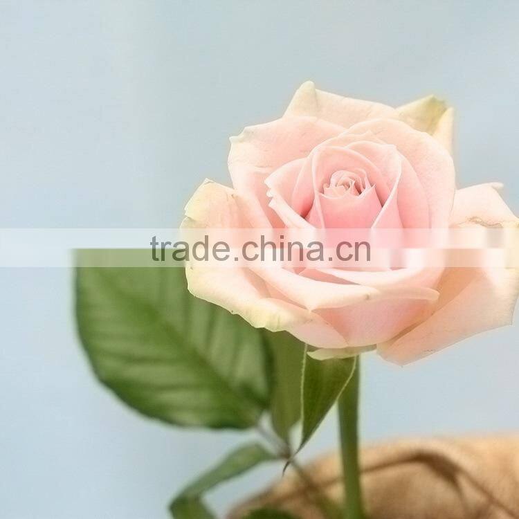 New Pink Avalache flower pink/red artificial roses