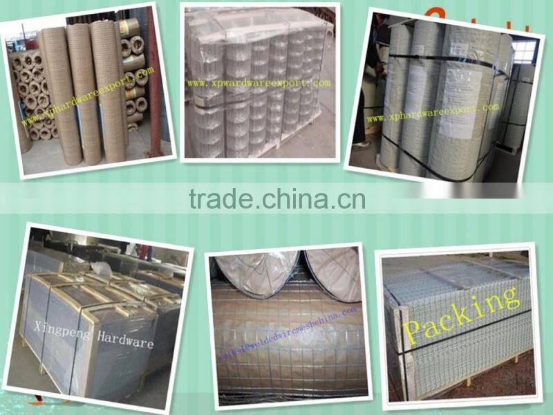 Anping mesh Xingpeng Galvanized, PVC Welded Wire Mesh(ISO9001 Factory)