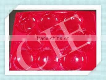 Multi function super quality thermoforming plastic extrusion line