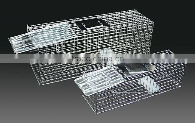 Live animal trap