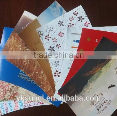 160Z changeable paper travel bottle mug promotion