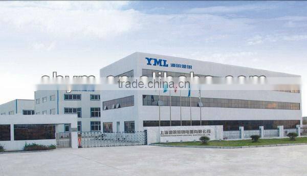 Acorn lamp induction 40-200W courtyard bulb 100w e27