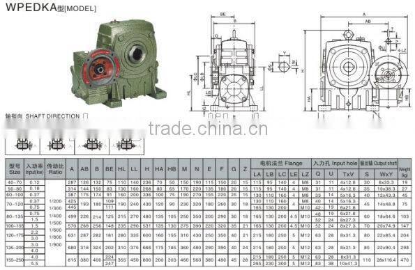 Miniature Electric Motor Worm Gear
