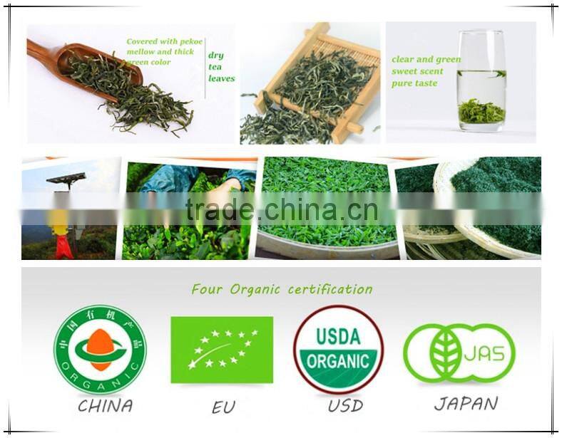 Chines Organic Green Tea as Kungfu Tea