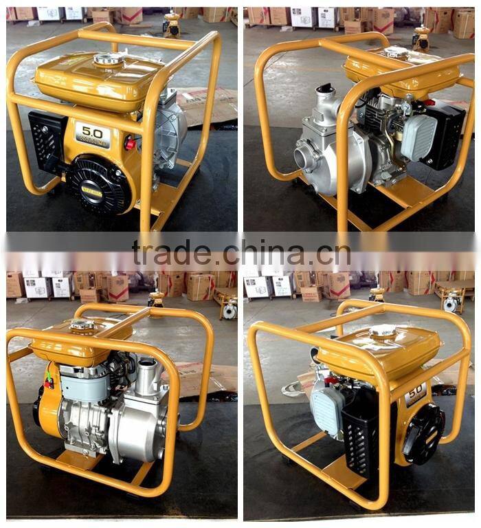 Robin water pump/Robin pump PTG307