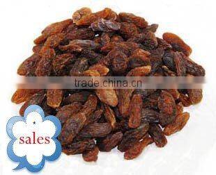 natural sultana/zante currant--HOT SALES