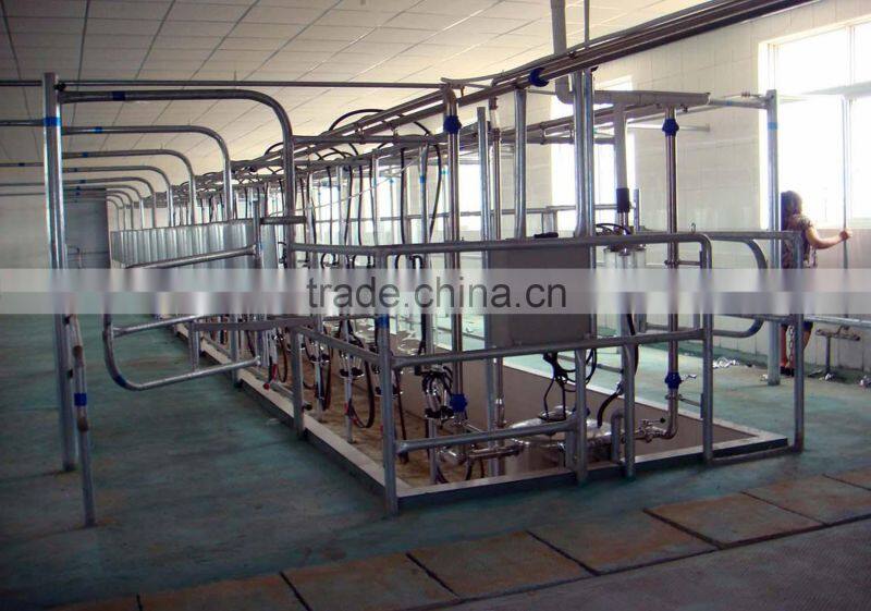 middle-set milking parlor for big farm