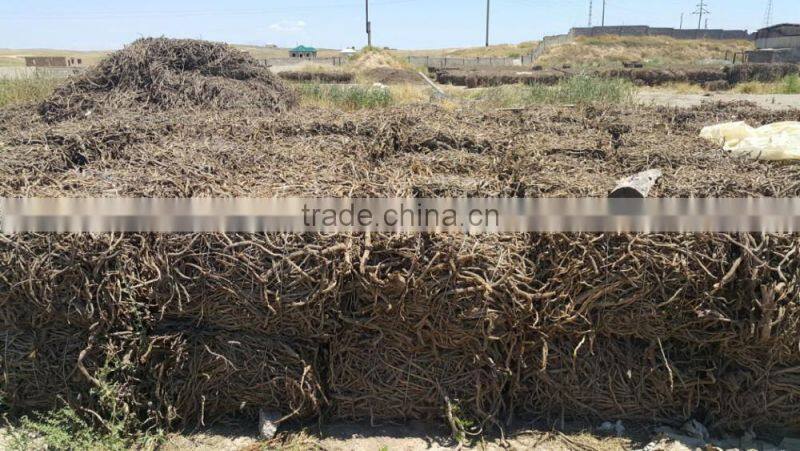 Licorice Root for Medicinal Usage