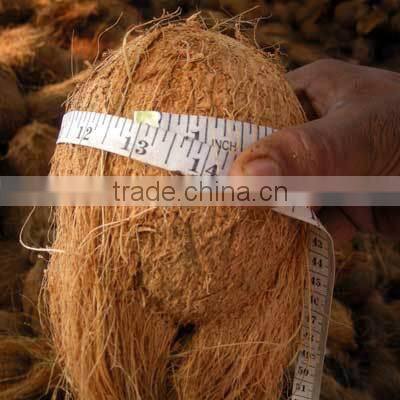 Fresh Organic Coconut