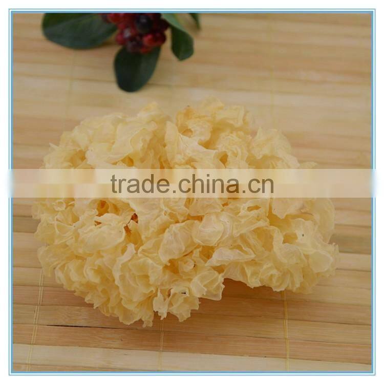 Chinese Snow Fungus Mushroom