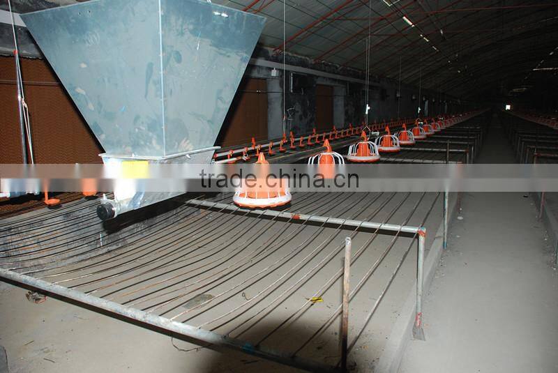 Automatic chicken poultry farming equipment