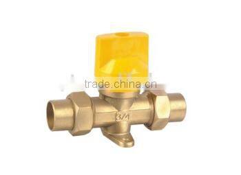 Electronic Water Valve