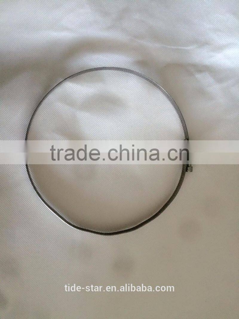 Hot Selling Quick Release Clamp (Jubilee Clamp)