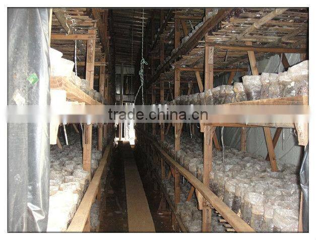 PE grid film /agriculture plastic greenhouse film with light transmittance:25% and 15%