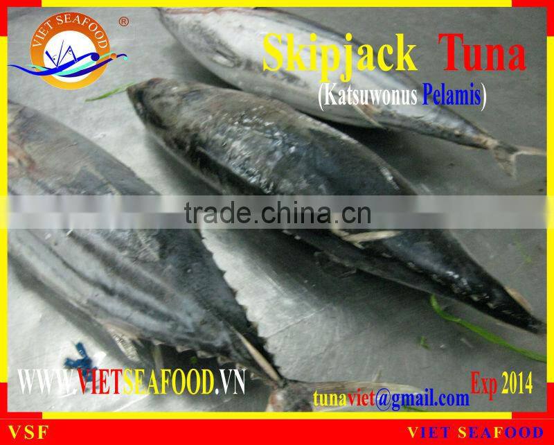 FROZEN W/R SKIPJACK TUNA