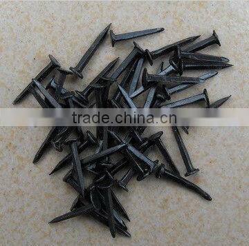 Blue shoe tacks nails(Guangzhou Factory)