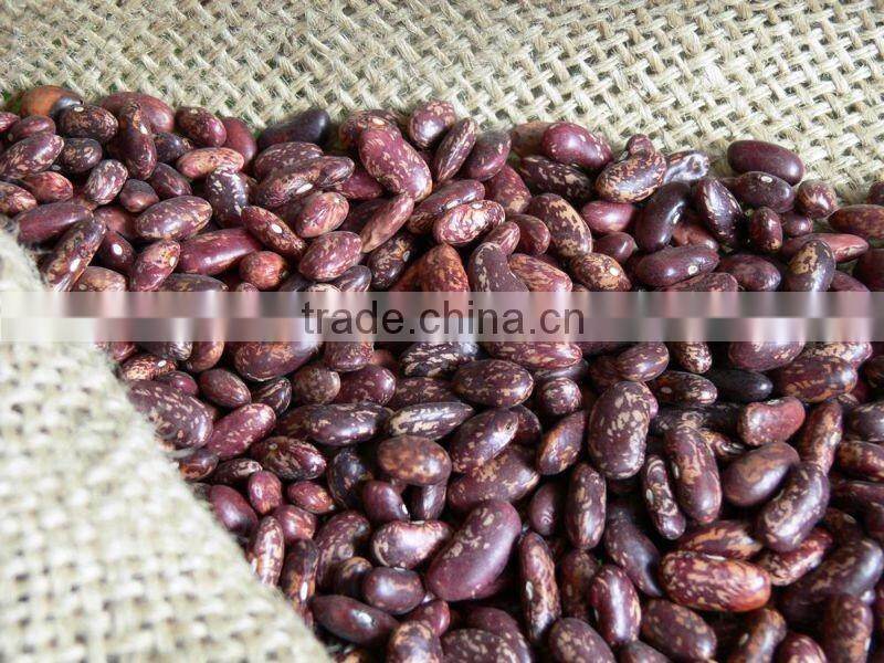 Purple Speckled Kidney Beans, 180-200, 200-220/100gr
