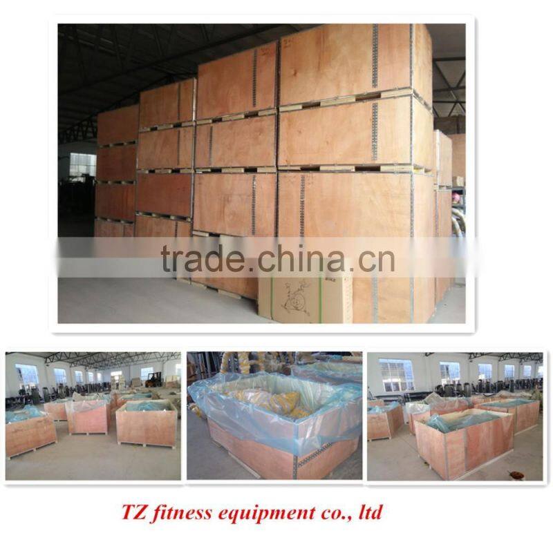 High quality Biceps TZ-6074