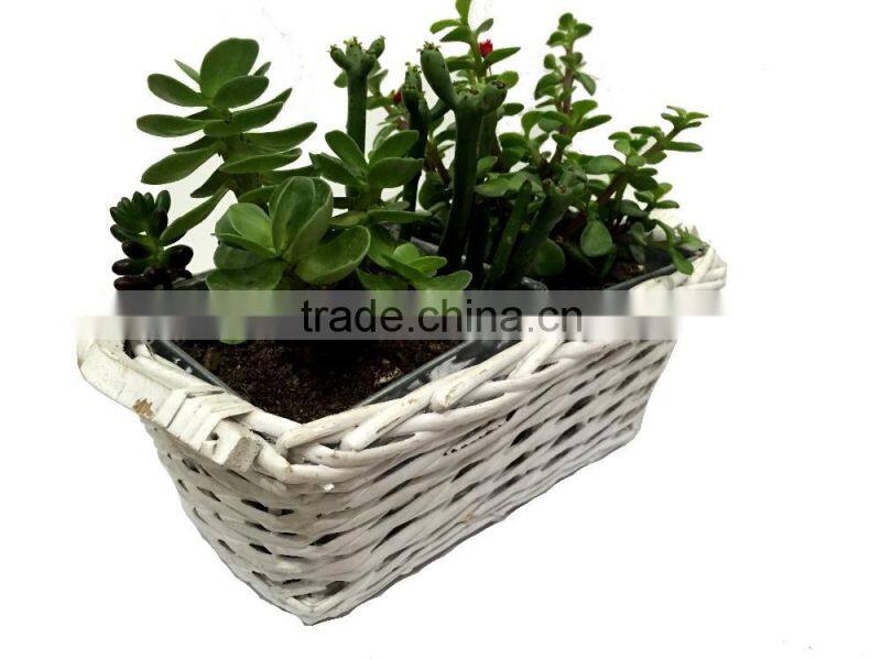 wicker basket, flower pots wholesale, wholesale wicker baskets