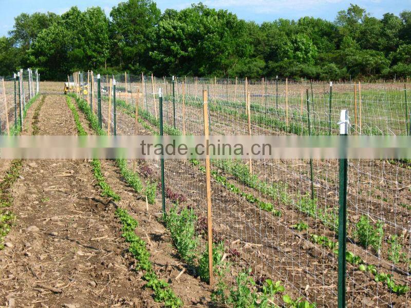 1.25lbs studded waterproof pvc coated waterproof y post for fixing plants