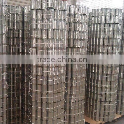 A10 can for canned vegetable&fruit