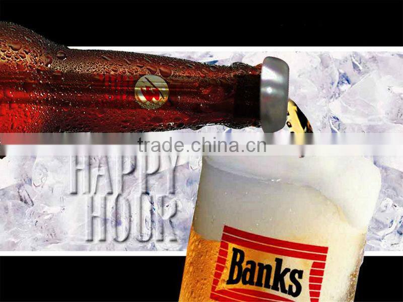 Wine accessories reusable stainless steel chiller for beer household supplier BSCI