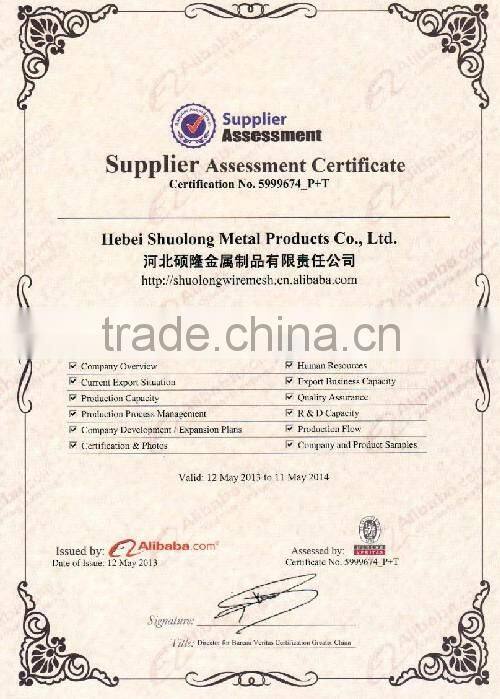 Hebei High Quality 2x2 galvanized welded wire mesh