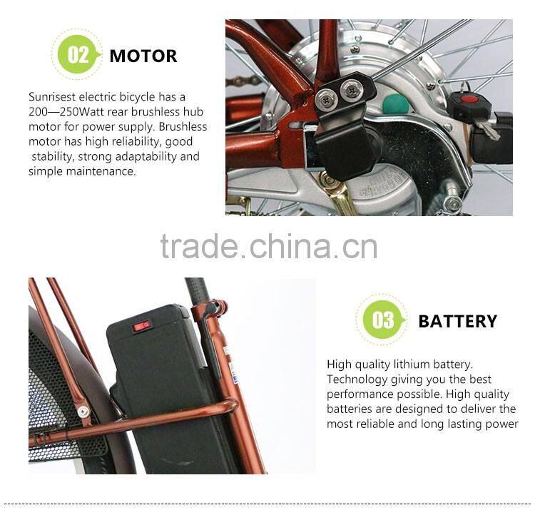 36V Adult Electric Bike For Sale