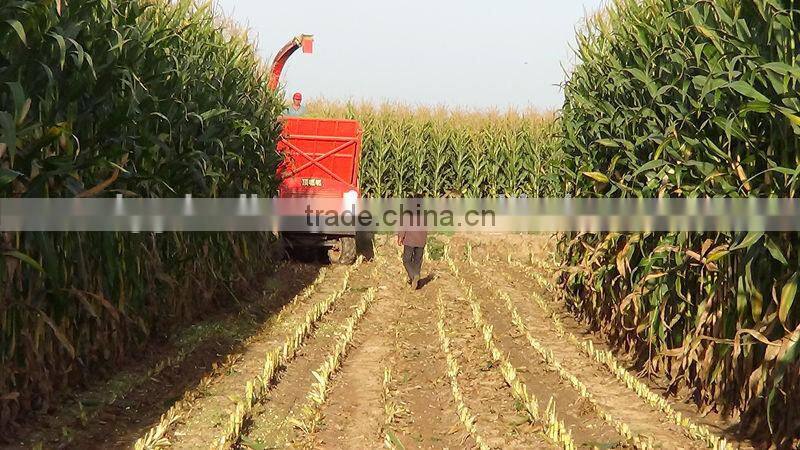 Purchasing Agent Self-propelled farm machine for grass cutting silage harvester