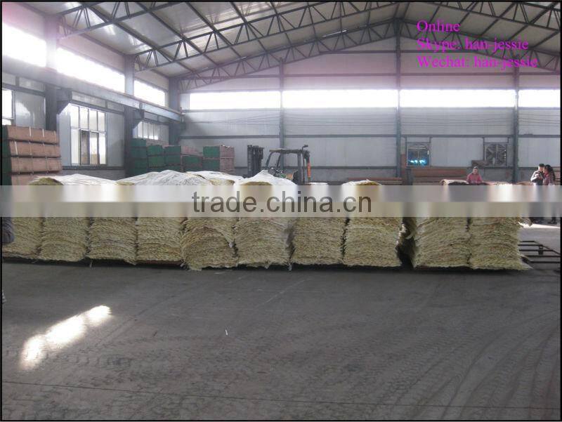 gurjan face veneer recon veneers keuring veneer