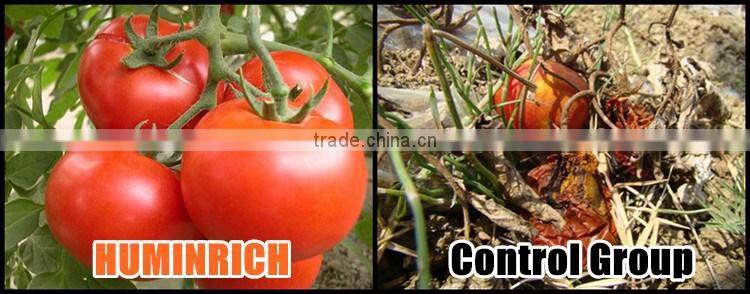 Huminrich 25kg nhom la mong toi Phan mau xanh la cay dinh duong goc oxit kali phan bon