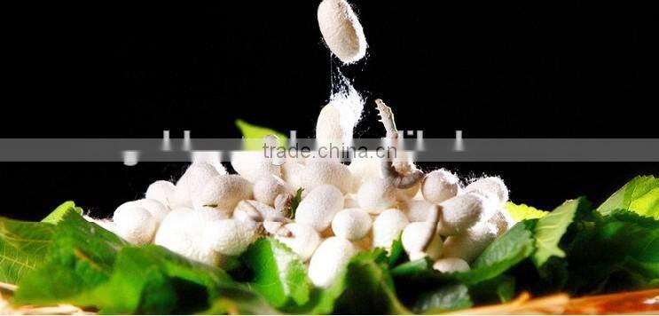 Handmade Mulberry Silk Pillowcase