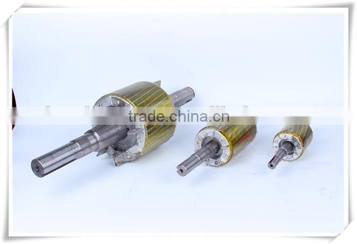 Rotor And Stator for Induction Motor