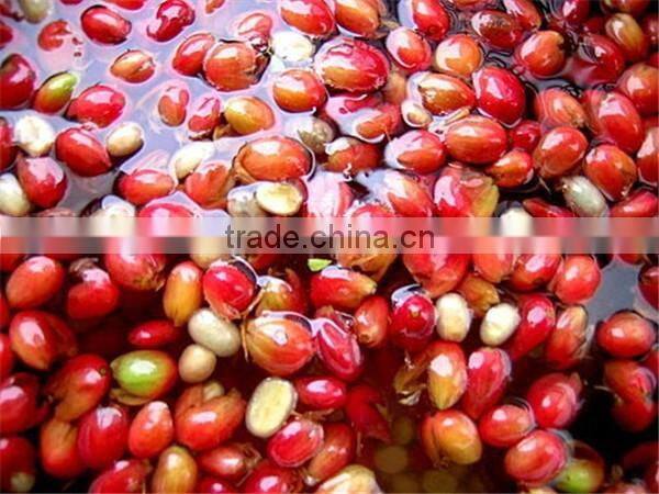 2016 coffee pulper machine | coffee bean pulp machine | coffee bean pulping machine