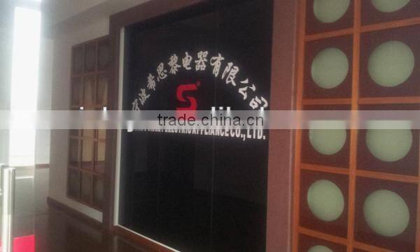 ionic household professional salon professional steam hair dryer with DC motor & over heat protection