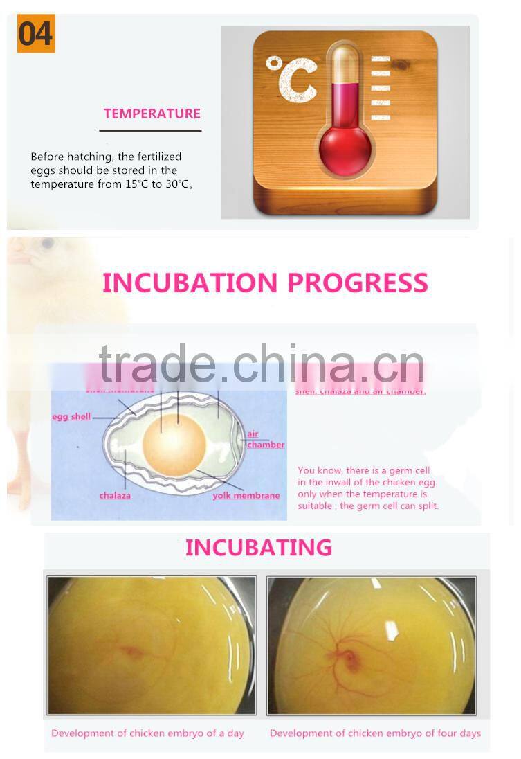 17000 eggs incubator/poulty husbandry equipment/hatcher machine