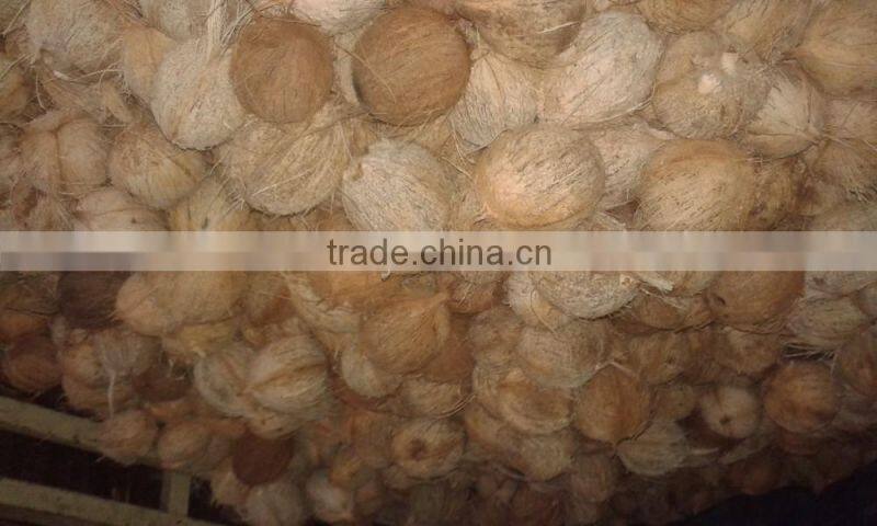 Fresh Green Cocounts