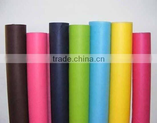 China Manufacturer Supply 100%PP Spunbond NonwovenFabric