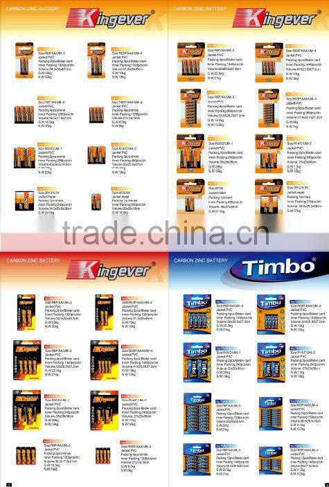 9V Zinc Carbon Battery