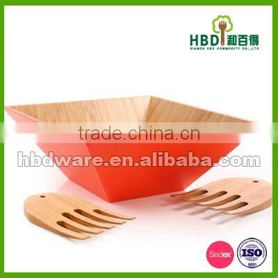 Square Salad Bowls set with color painting