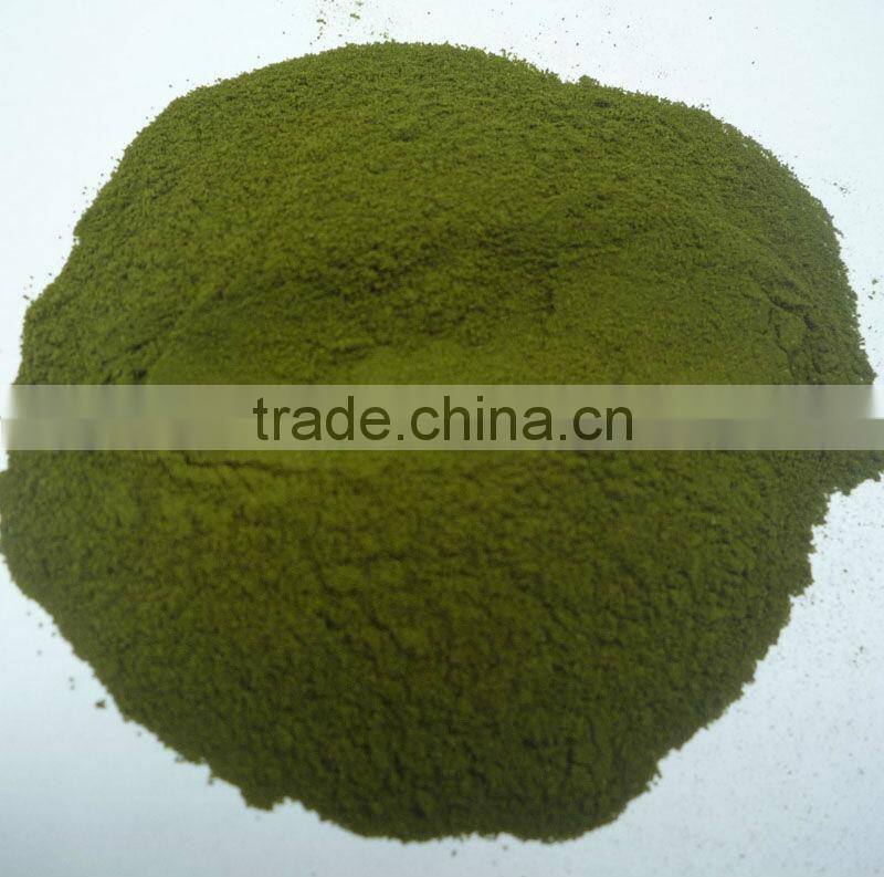 2015 Organic wheat grass extract powder