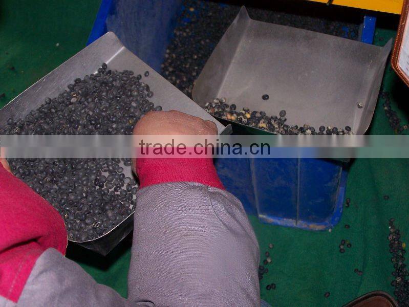 plastic granules color sorter(zk5)