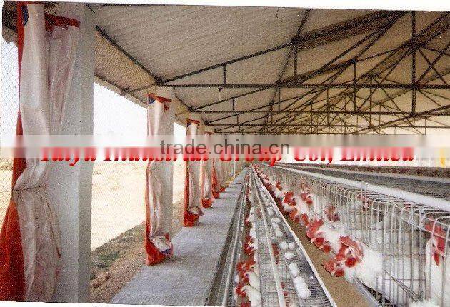 battery egg chicken cage