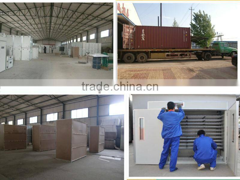 3168pcs high power-saving microcomputer incubator for duck eggs and all other wild ducks