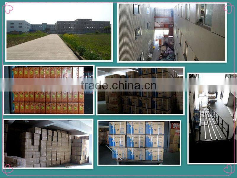 20L Knapsack Garden Duster Pesticide Sprayer For Agriculture(3WF-3A)