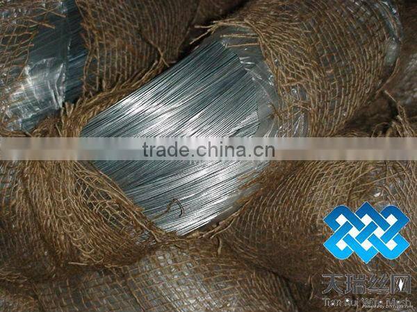 Lower price galvanized iron wire (factory)
