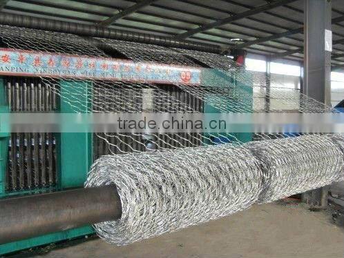 Hexagonal wire mesh rolls/Gabion mesh rolls/Gabion rolls