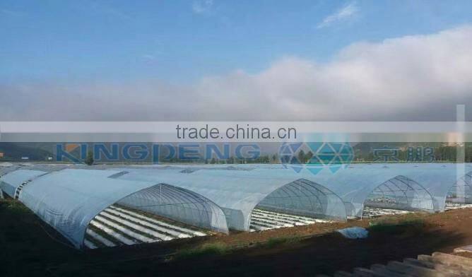Plastic Film Greenhouse