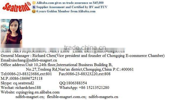 Promotion EU Standard Cheap Custom Souvenir Fridge Magnet